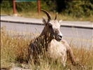 The Kootenays National Park